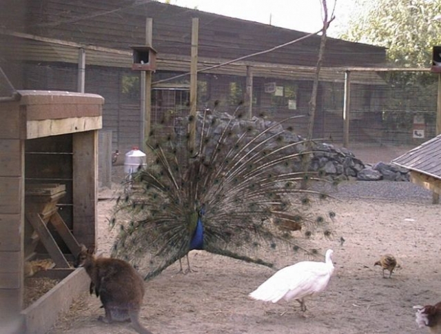  Educational farm in the North 